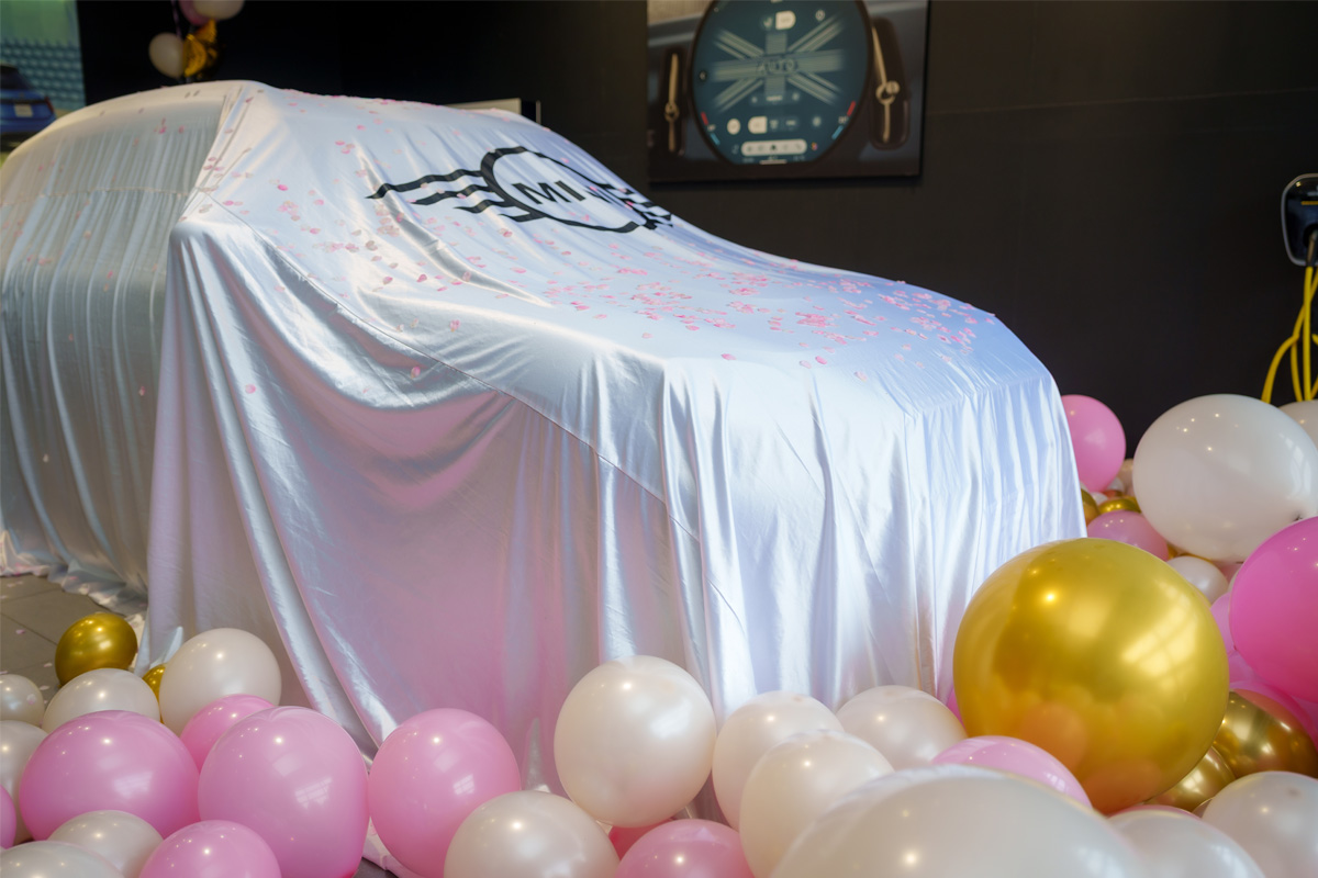 MINI選び 3ステップ