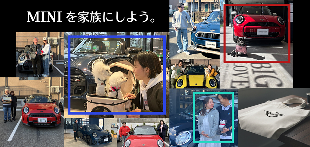 NEW MINI FAMILY FAIR